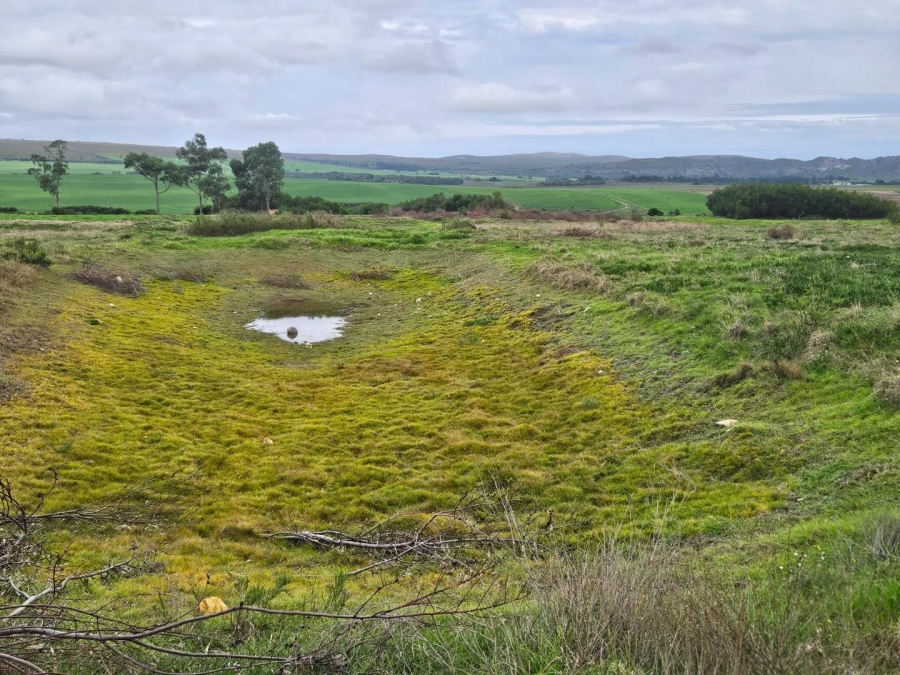 0 Bedroom Property for Sale in Baardskeerdersbos Western Cape